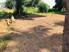 Ragama Thewatta Road 6.17 Perches Land for Sale