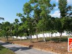 Ragama Valuable Land for Sale