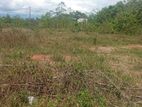 Raigama Bandaragma Land for Sale