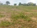 Raigama Land for Sale