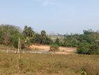 Raigama Land for Sale