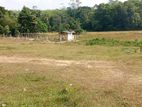 Raigama Land for Sale