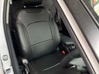 Raize Leather Seat Cover