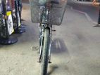 Raizer Ladies Bicycle