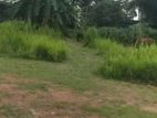 Rajagiriya : 108 perches Land for Sale