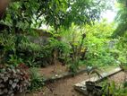 Rajagiriya, 19.75 Perches of Land with and Old Livable House for Sale