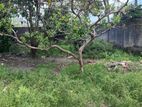Rajagiriya - Land for sale