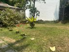 Rajagiriya - Moragasmulla Rd 35 Perches of Commercial Land for Sale