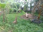 Rajagiriya Prime Location 12.3Perches Land For Sale