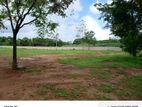 Rajagiriya Residential Land for Sale in Koswattha Road