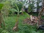 Rajagiriya Ruwanpura 12.3 Perches Land Urgent For Sale