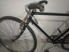 Raleigh Bicycle