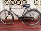 Raleigh Bicycle