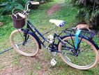 Raleigh Ladies Bicycle