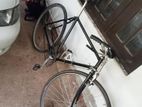 Raleigh Bicycle