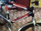 Rally Bicycle Brand New