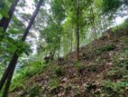 Rambukkana : 109 Perches Land for Sale at Hiriwadunna