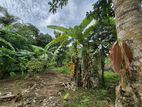 Ranna Land for Sale