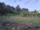 Rare 15P Land Opportunity Near Galle Town | SL14778