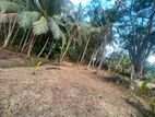 Rare 29-Perch Land for Sale in Hapugala, Galle