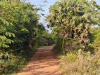 Batticaloa – 13.5 Acres of Prime Land