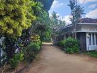 Ratmalana: 4 BR ( 43 Perch) SINGLE STORIED HOUSE FOR SALE at Pirivena Rd