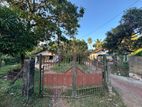Land for Sale - Katana