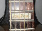 Ray Paul Hand Crafted Guitar