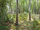 රබර් ඉඩම විකිණීමට- කළුඅග්ගල