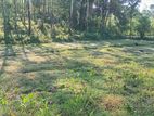 Land Sale in Ganegoda