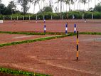 රද්දොලුව, මුතුවාඩ්ය, කූස්වලින් ඉඩමක්