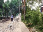 Ready-to-Build Land in a Peaceful Neighborhood