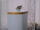 Recaption Table White
