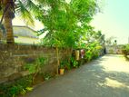 Rectangle Land for sale in Moratuwa (Egoda uyana)