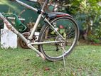 Mountain Bicycle