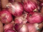 Red Onion (Small Onion)