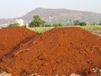 Red Soil