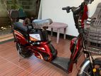 REF Electric Bike 2024