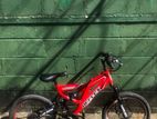 Reflex Lumstar 20” Bicycle