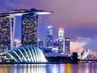 Register you Business/Company in Singapore