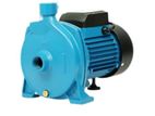 Regnis – Water Pump 0.75HP (WP-REG-075-S