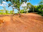 Rekawa Beach Villa Land for Sale (Tangalle)