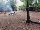 Remarkable Land for Sale Pannipitiya