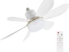 Remote Fan