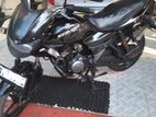 Rent a Bike Bajaj XCD 125