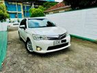 Rent A Car - Axio Hybrid