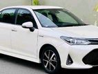Rent a Car Axio Hybrid Wxb