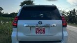 Rent a Car - Prado Tx 150