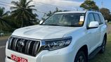 Rent a Car - Prado Tx 150