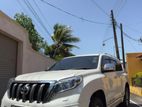 Rent a car - Prado Tx 150 White